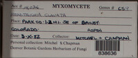 Image Associated With the Occurence